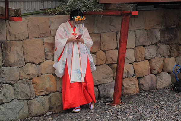 第6期 準グランプリ「春便り」