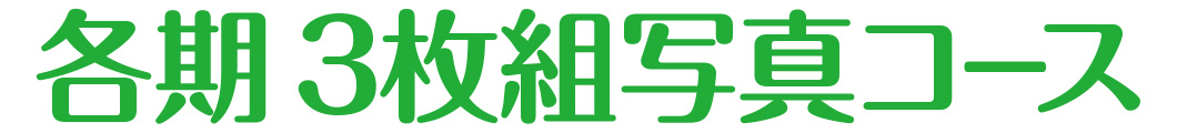 各期 3枚組写真コース